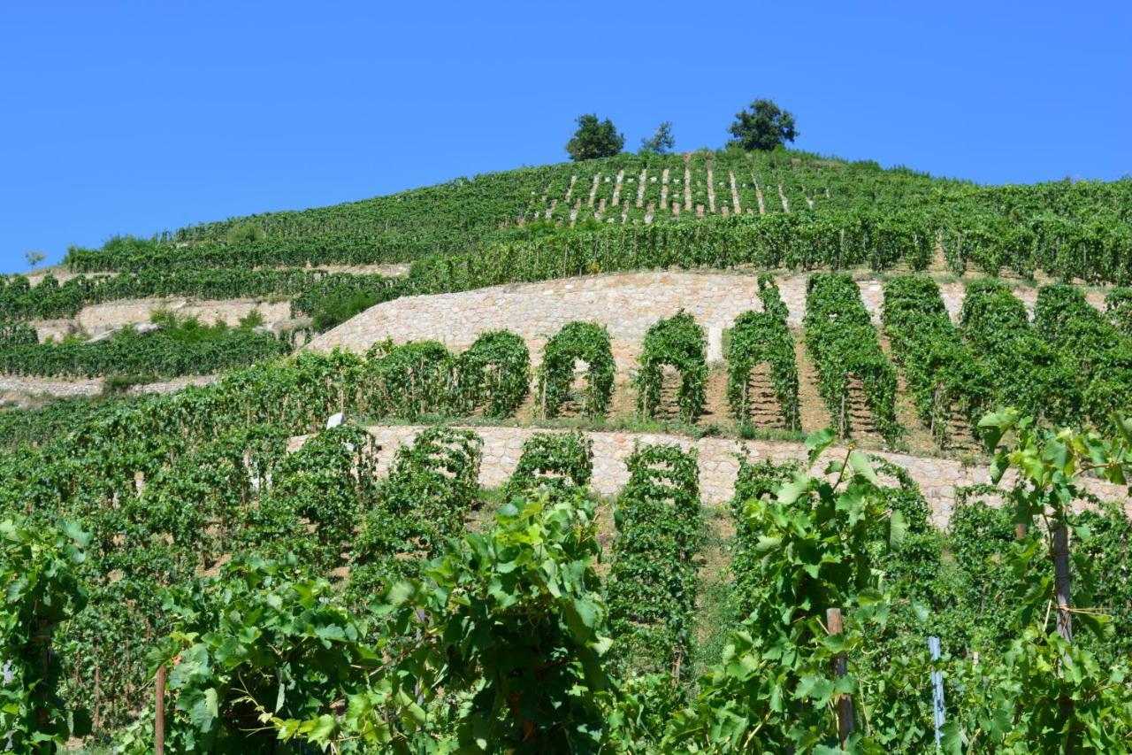 Lamaisondemamere Tournon-sur-Rhone Eksteriør bilde